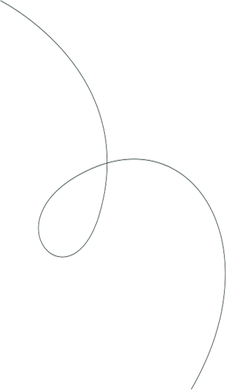 Abstract decorative footer pattern with flowing lines and leaf shapes, natural accent at the bottom of the page, calm and inviting mood