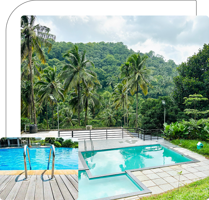 Vibrant swimming pool at JKR Gardens: Large, crystal-clear pool surrounded by palm trees, sun loungers, and lush greenery, offering a relaxing and luxurious resort experience in Kerala and Tamil Nadu. No visible text in the image.