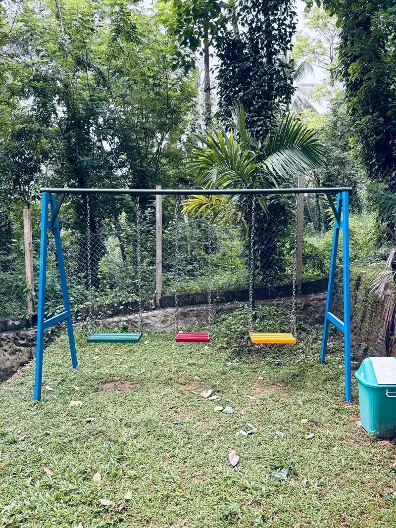 Swing in the forest