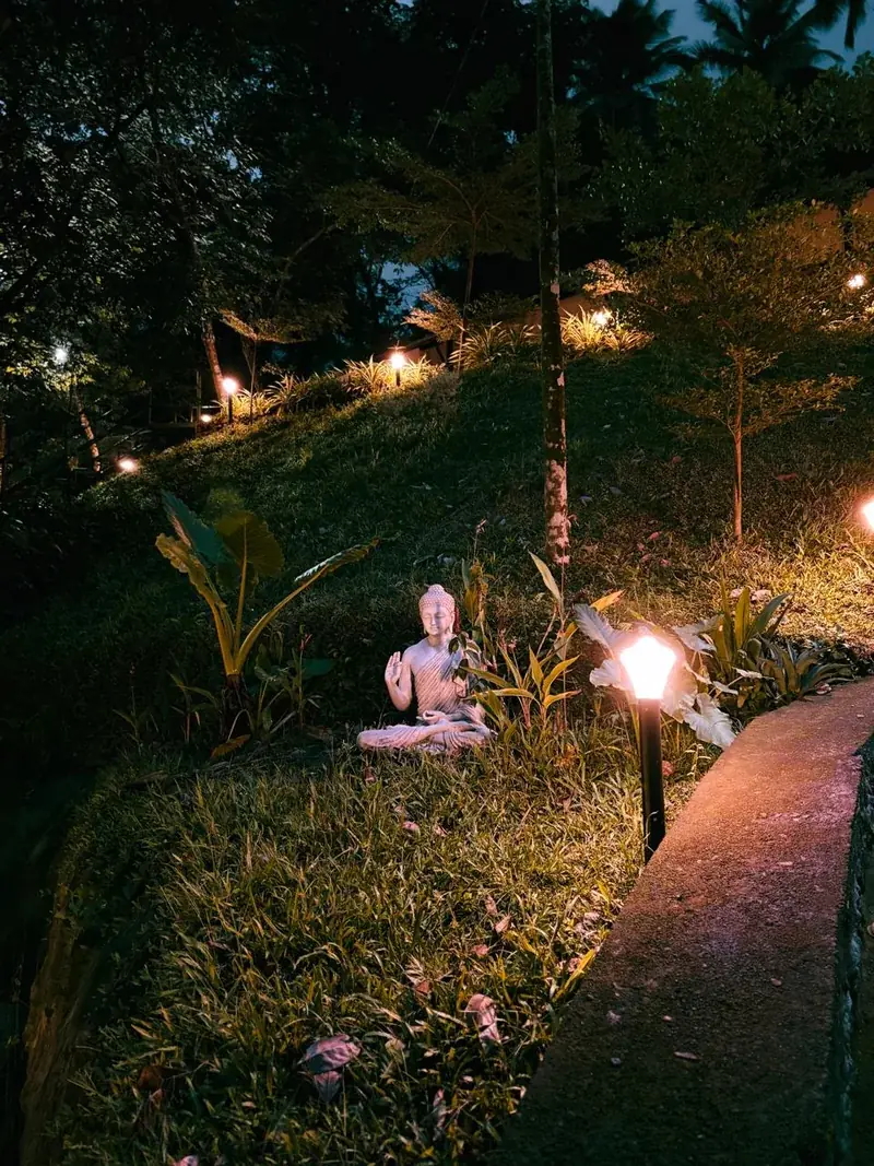 Garden lights and Buddha statue at night