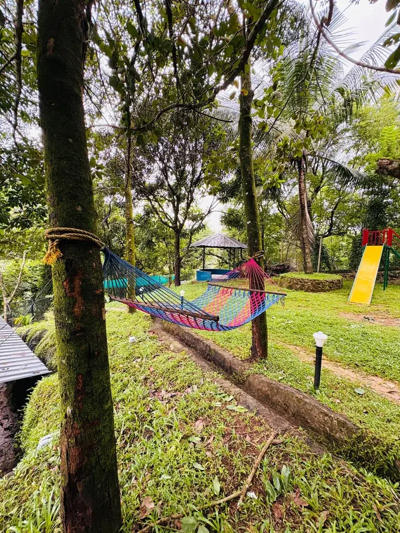 Kids swing and hammock