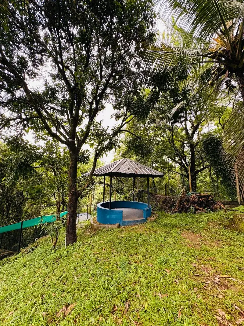 Trees and gazebo at the resort