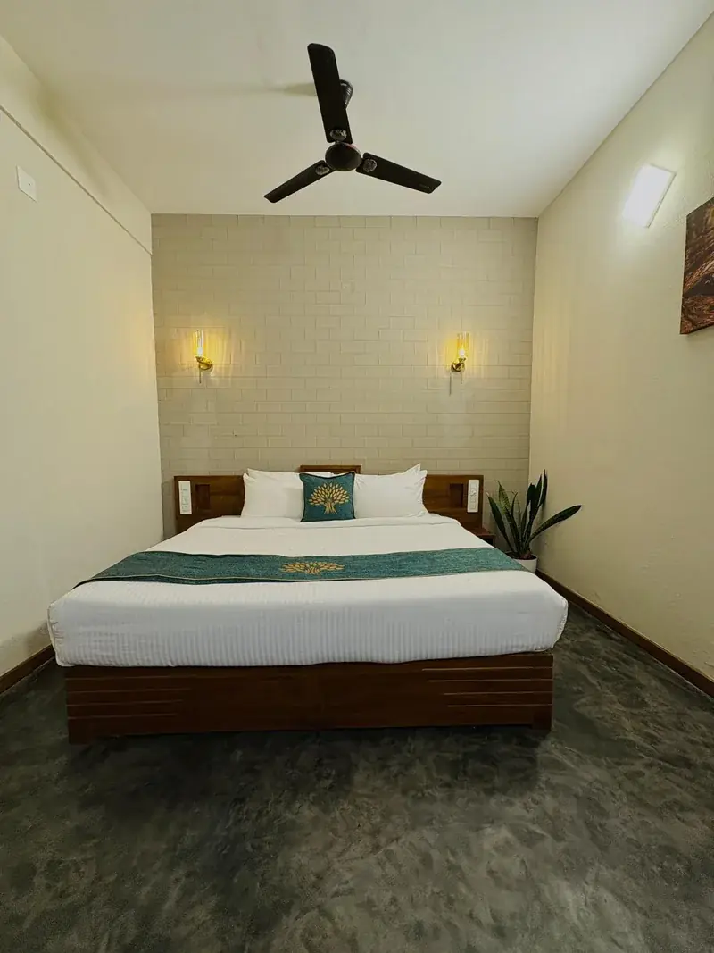 Room bed and plants