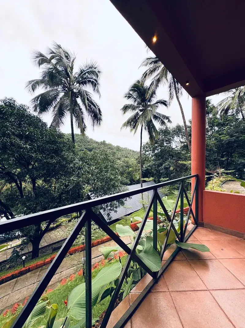 Balcony view over palms and hills