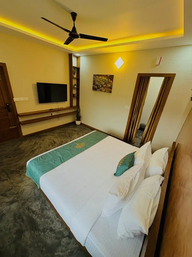 Room with television and mirror