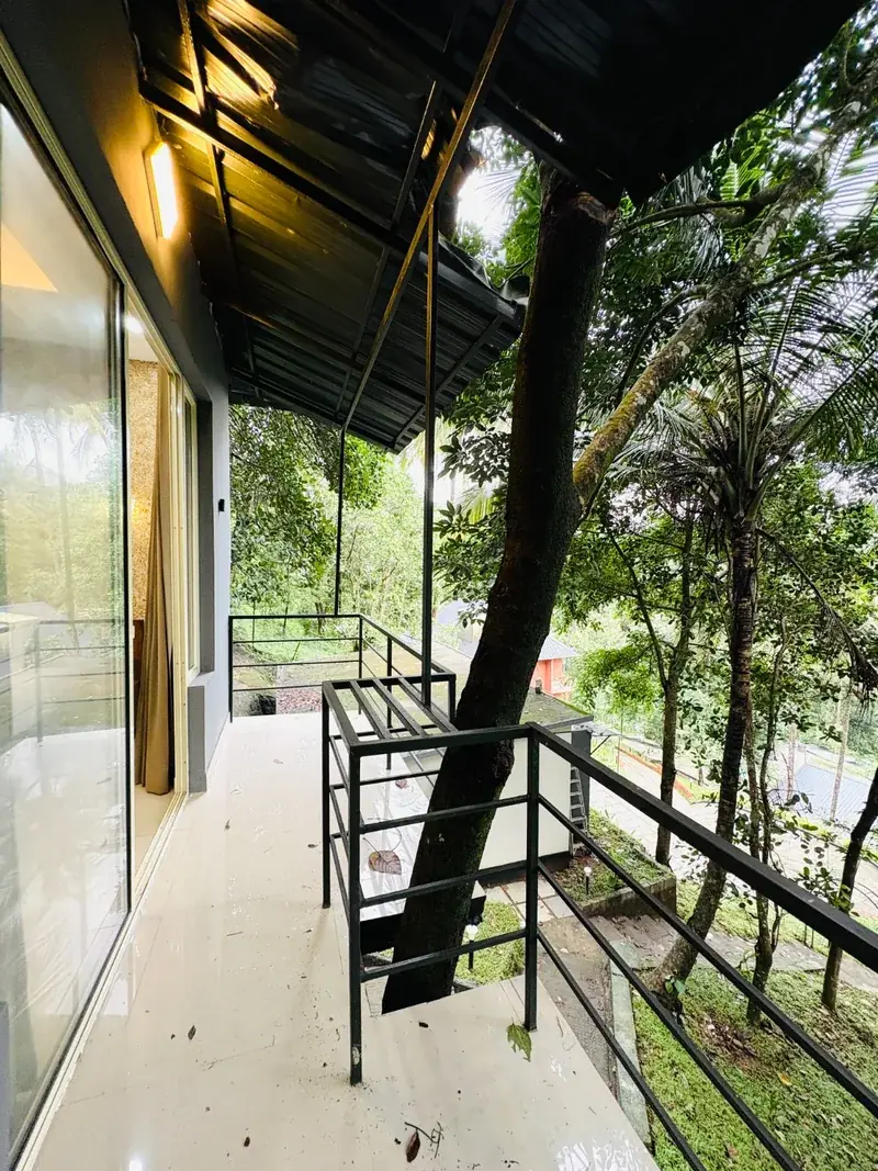 Glass wall with forest view