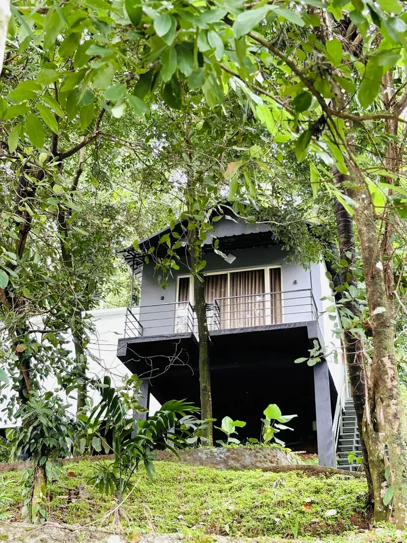 Glass house nestled in the forest at Vayalada Gardens Resort