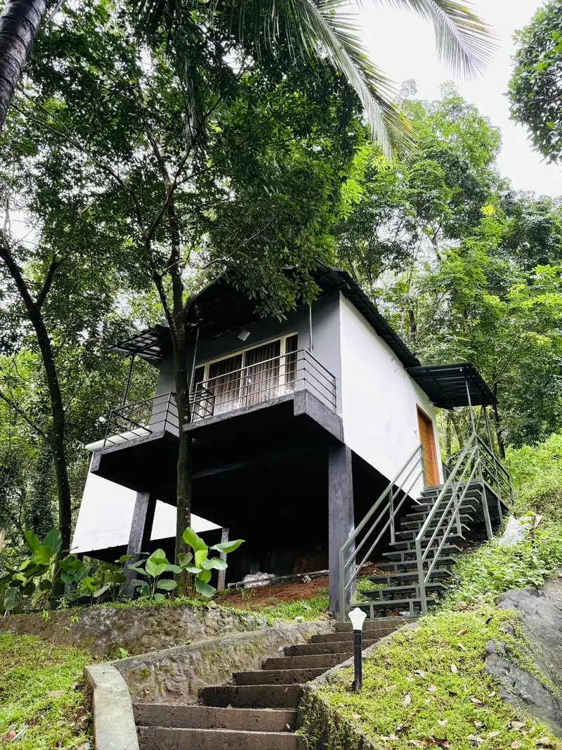 Glass cottage in Kerala among the trees