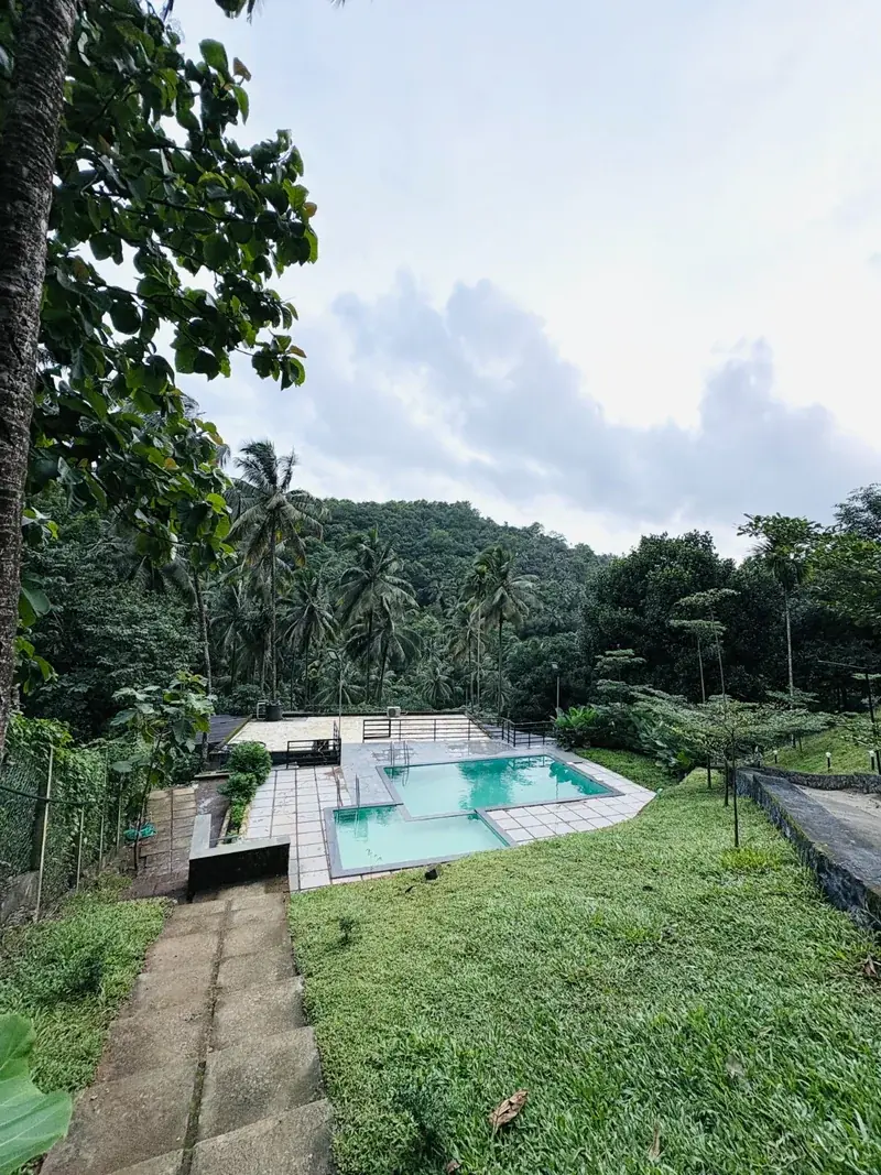 Misty forest hills around Vayalada Gardens Resort, Kerala