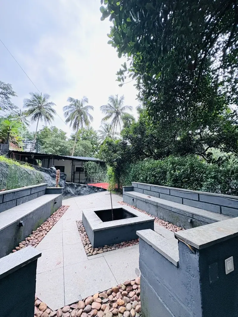 Palm trees and walkways at Vayalada Gardens Resort, Kerala